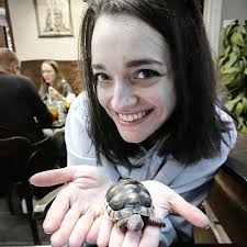 2024 Wrap-Up: what I've done and what others have done