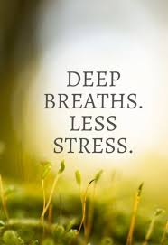 Image result for mindfulness quotes"