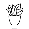 See more ideas about succulents, succulents in containers, succulents garden. 1