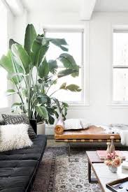 Puedes bordear el camino de acceso con plantas de temporada de 28. Como Decorar Una Sala 60 Imagenes Y Consejos Decoraideas