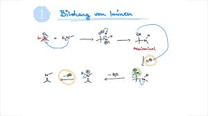 Последние твиты от imin (@_imin_). Mechanism Of The Week Imin Enamin Bildung Youtube