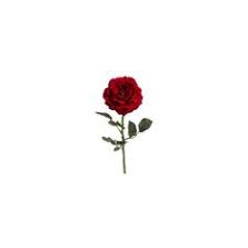 .roses xx on the xbox 360, a gamefaqs message board topic titled how do i get this reiko gamerpic?. Rose Gamerpic Images Of Try Hard Cool Anime Gamerpics Gamerpics Are Customizable Icons That Are Used As The Profile Picture For Xbox Accounts