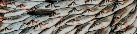 Create an account or log into facebook. How To Respond To Covid 19 In The Fish And Seafood Sector Cbi