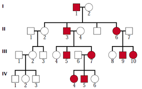 Solved The Pedigree Chart Below Shows A Family With Sever