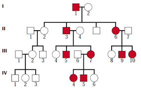 solved the pedigree chart below shows a family with sever