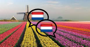 Filmene er omkring otte til ti minutter lange og komplementerer kursets tekster og quizzer. Vill Du Lara Dig Hollandska Coretours