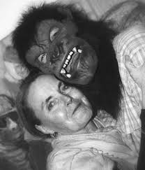 Beechwood Renewal: Are We There Yet? Update