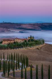 We have 69+ background pictures for you! Italy Tuscany Fog Road Trees Hills Houses 750x1334 Iphone 8 7 6 6s Wallpaper Background Picture Image