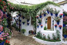 Reserva tu vuelo más hotel en un mismo paso y preocúpate únicamente de conocer todos aquellos lugares con los que llevas tiempo soñando.apetecible, ¿verdad? Patios And Perfumes Of Cordoba Festival Tour 2021