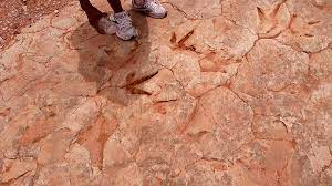 Rough rocky short road to parking. Tuba City Dinosaur Tracks Top Places To See In Arizona
