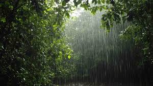 North Bengal Braces for Fresh Deluge as Weather Alerts Intensify