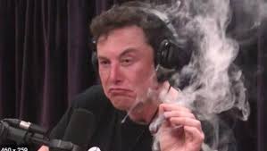 Elon Musk trolls SEC (and shorts) as Tesla stock surges to new highs