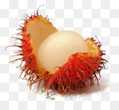 duku unduh gratis rambutan buah pitaya rambutan gambar png rambutan buah pitaya rambutan gambar png