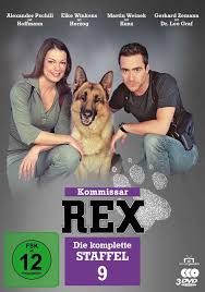 Weitere ideen zu deutsche schauspieler, schauspieler, schauspieler/innen. Kommissar Rex Staffel 9 3 Dvds Jpc