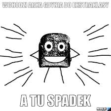 Arka gdynia sportowa spólka akcynia. Wchodzi Arka Gdynia Do Ekstraklasy A Tu Spadek Memy Pl