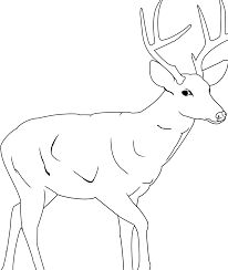 Select from 35870 printable crafts of cartoons, nature, animals, bible and many more. Download Hd Deer Coloring Pages Coloringsuite Hunting Drawing Transparent Png Image Nicepng Com