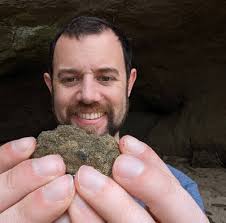 The Coastal Paleontologist: Fossil prep updates: beluga and fur seal  specimens from the Purisima Formation of California