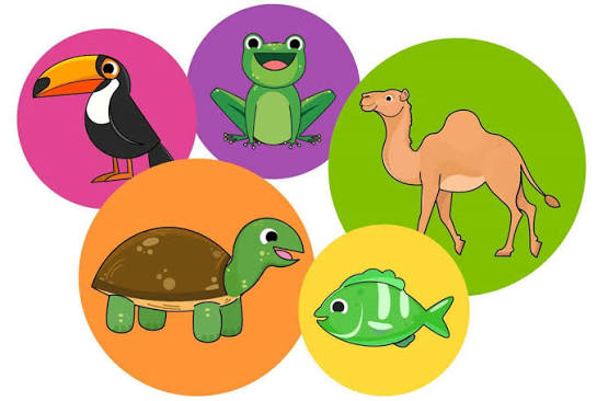 Year 4 Living Things and their Habitats | CGP+ Primary Online