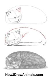 Kawaii art and drawing tutorial by tatyana deniz. 670 Draw Cats Ideas In 2021 Animal Drawings Cat Drawing Drawings