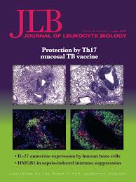 Dança do ventre rana gabrielle. Journal Of Leukocyte Biology Vol 101 No 6