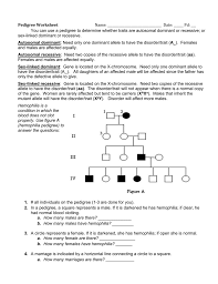 pedigree chart wks