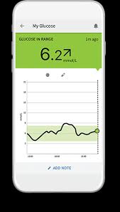 Freestyle Blood Glucose Meters