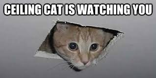 100+ funny grumpy cat memes about the famous internet feline. 10 Most Popular Internet Memes In History Broadbandsearch