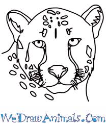 This tutorial will show you how to draw a cheetah using a simple technique that anyone can use! How To Draw A Cheetah Head
