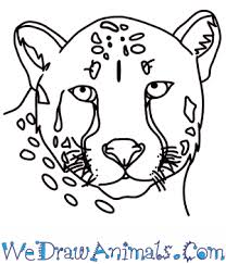 Maybe you would like to learn more about one of these? How To Draw A Cheetah Head