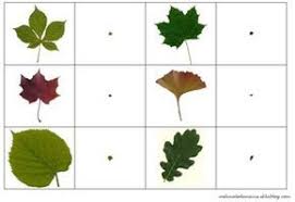 Avec Une Loupe 2 Automne Maternelle Loup Decoration Automne Maternelle