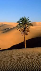 Sahara Desert Deserts Of The World Beautiful Nature Largest Desert