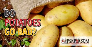 We did not find results for: Do Potatoes Go Bad Pokpoksom