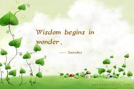 Good Sentence Appreciation Wisdom Begins In Wonder