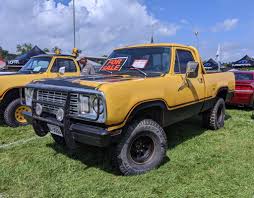 Image result for Golden Fawn 1976 Dodge