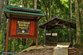 Kamu bisa menyelam bersama ikan pari, lho! 20 Tempat Menarik Di Tambunan Sabah Untuk Percutian Sabah Post