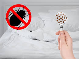 Saupoudrez le sol et les plinthes avec cette poudre. Anti Punaise Des Solutions Pour La Prevention Des Punaises De Lit Acm
