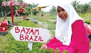 Tiada yang lebih indah pada waktu cuti selain duduk di kampung. Berbudi Pada Tanah Selepas Berhenti Kerja