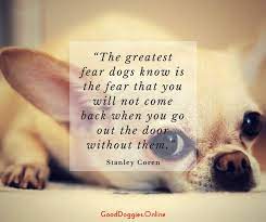 35 Best Dog Mom Quotes That Any Dog Parent Can Relate To Dog Mom Quotes Dog Lover Quotes Dog Quotes