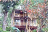 Jungle Jive Tree House | Rooms in a Homestay 𝗕𝗢𝗢𝗞 Munnar ...