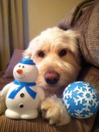 TODAY's Life Illustrated: Snow days