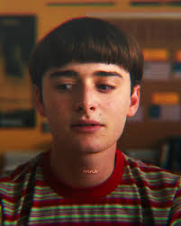 Stranger Things Gay Will