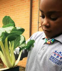 The Challenge of Change