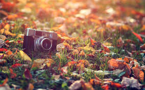 Free 20 Vintage Photography Desktop Wallpapers In Psd Vector Eps Find the best christmas desktop backgrounds on getwallpapers. vintage photography desktop wallpapers
