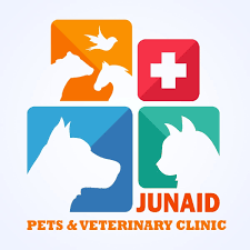 Check spelling or type a new query. Pets Care Hospital Johar Town Home Facebook