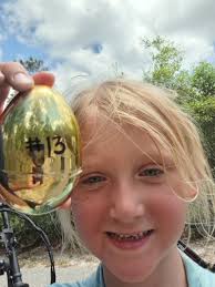 Check out all the eggs that have been discovered so far! 🥚👀 Keep your  eyes peeled