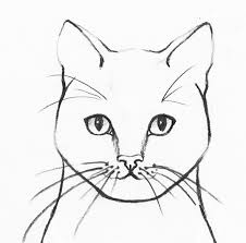 Finish with tail, grass and sky. How To Draw A Realistic Cat Step By Step Udemy Blog
