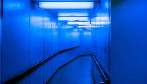 450 Neon Blue Pictures Hd Download Free Images On Unsplash See more ideas about galaxy wallpaper, iphone wallpaper, cute wallpapers. 450 neon blue pictures hd download