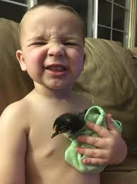 Everyone loves biker chicks! 🐥