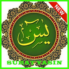Surat yasin dan terjemahan (package name: Surat Yasin Dan Terjemahan Fur Android Apk Herunterladen