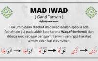 Dengarkan dengan baik contoh bacaan dari seorang guru yang ahli, kemudian tirukan dengan cermat. Lam Jalalah Tafkhim Dan Tarqiq Arti Hukum Bacaan Dan Contohnya